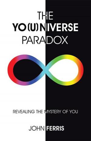 Cover of the book The Yo(U)Niverse Paradox by EJ Cribb