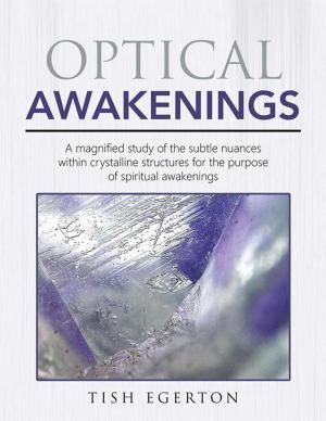 Cover of Optical Awakenings