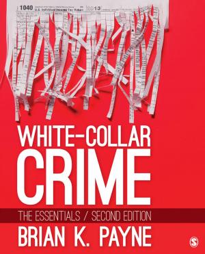 Cover of the book White-Collar Crime by Julie Stern, Nathalie Lauriault, Krista Ferraro