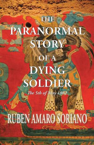 Cover of The Paranormal Story of a Dying Soldier