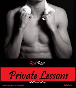 Cover of the book Private Lessons by Salamando