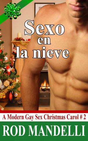 Cover of the book Sexo en la nieve by Lacy Wren