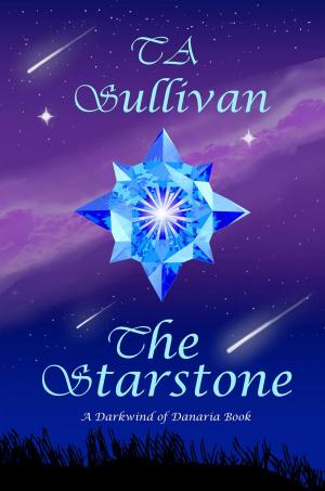 Book cover of The Starstone