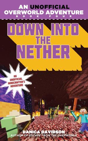 Cover of the book Down into the Nether by Jules Archer
