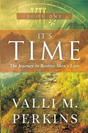 Cover of the book It’S Time by James Kelly