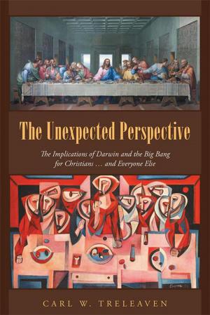 Cover of the book The Unexpected Perspective by Snott Mukukumira