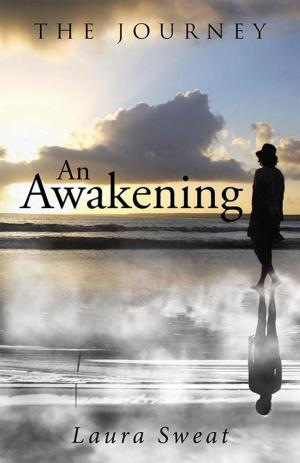 Cover of the book An Awakening by Teresa Jones