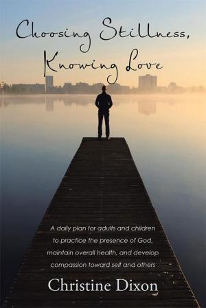 Cover of the book Choosing Stillness, Knowing Love by Carol Jordan