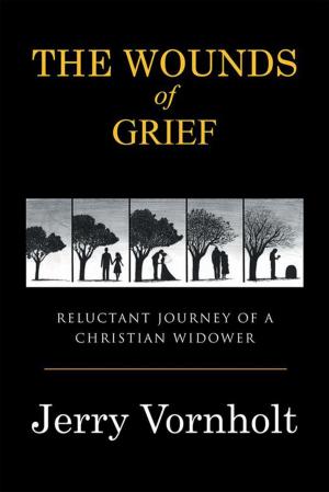 bigCover of the book The Wounds of Grief by 