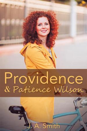 Cover of the book Providence & Patience Wilson by Michael A. Rippen