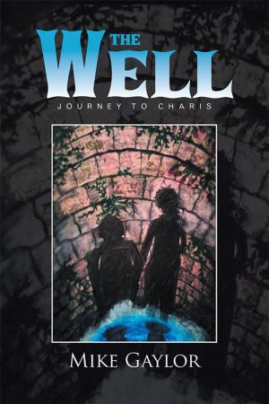 Cover of the book The Well by J. E. Hazlett Lynch