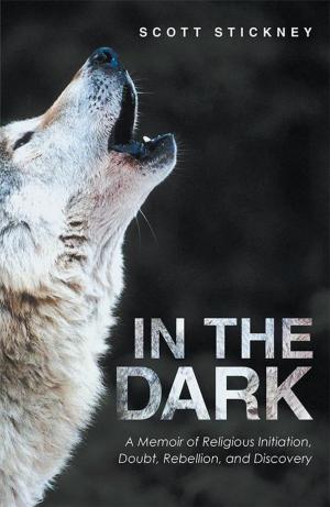 Cover of the book In the Dark by Jameson McGuire