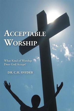 Cover of the book Acceptable Worship by Todd Froehlich