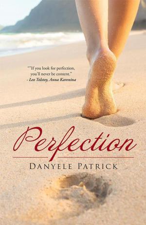Cover of the book Perfection by hannah crocker