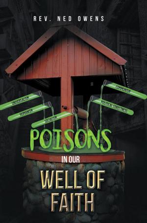 Cover of the book Poisons in Our Well of Faith by Tito Serrano