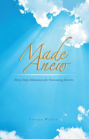 Cover of the book Made Anew by Teresa Davis Doherty