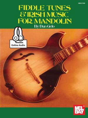 Cover of the book Fiddle Tunes & Irish Music for Mandolin by Stacy Phillips