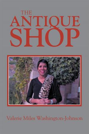 Cover of the book The Antique Shop by Carrie D. Franklin Heck