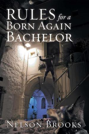 bigCover of the book Rules for a Born Again Bachelor by 