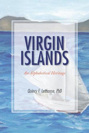 Cover of the book Virgin Islands by Robert C. Hereth