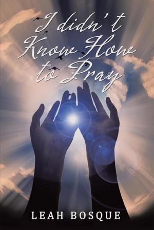 Cover of the book I Didn’T Know How to Pray by Nicole Anderson