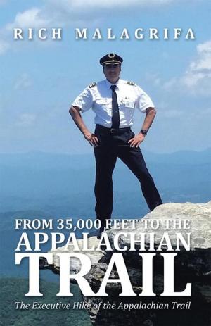 Cover of the book From 35,000 Feet to the Appalachian Trail by Gabriel Santiago