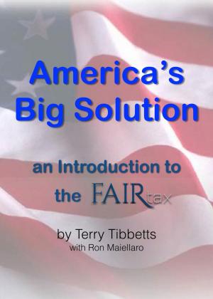 Cover of the book America's Big Solution by Slater Investments