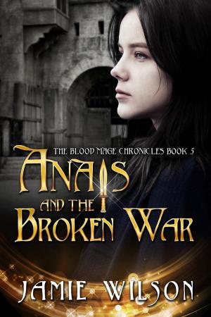 Cover of the book Anais and the Broken War by Michael Bowler