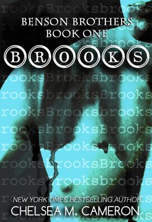 Cover of the book Brooks by KK Hendin