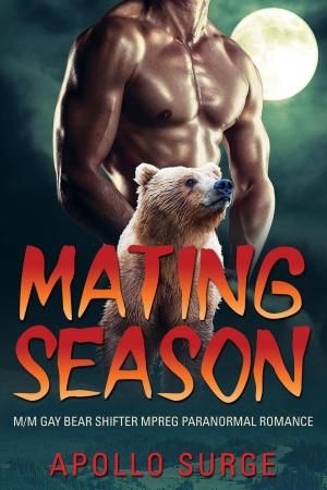 Cover of the book Mating Season by Raquel Sánchez García