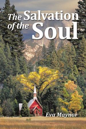 Cover of the book The Salvation of the Soul by Renny Tsikai