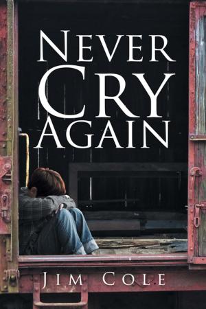 Cover of the book Never Cry Again by Tramaine Harrison