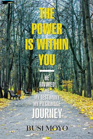 Cover of the book The Power Is Within You by Dennis McLelland