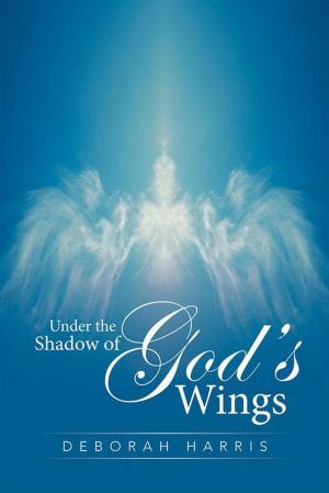 Cover of the book Under the Shadow of God’S Wings by Todd  Karluff Olsen