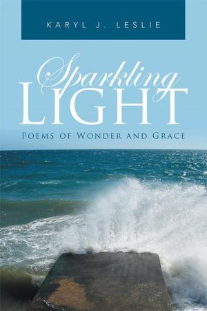 Cover of the book Sparkling Light by Daniel Michael