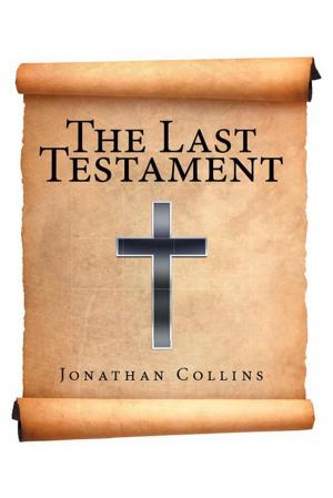 Cover of the book The Last Testament by Sonja E. Mattison