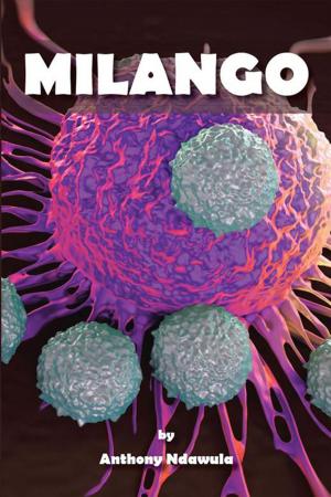 bigCover of the book Milango by 