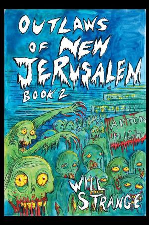 Book cover of Outlaws of New Jerusalem