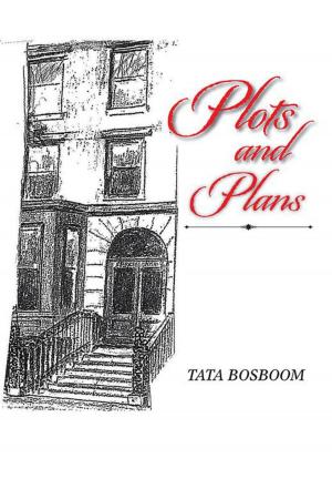 Cover of the book Plots and Plans by Maha Noor Elahi