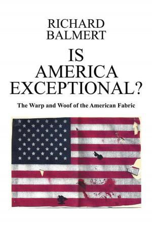 Cover of the book Is America Exceptional? by Tjien O. Oei
