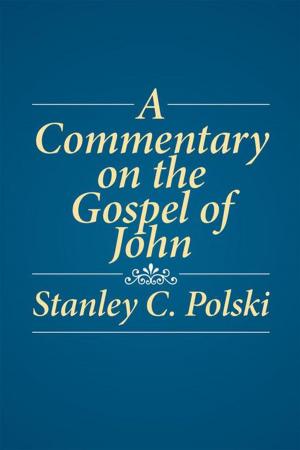 Cover of the book A Commentary on the Gospel of John by Robert W. Knutson
