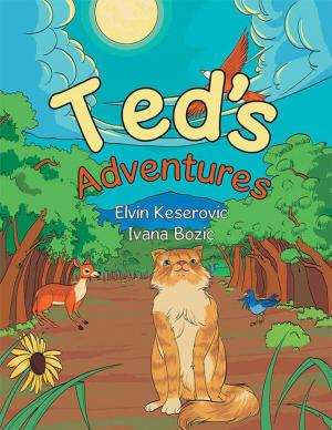 Cover of the book Ted’S Adventures by David Joseph