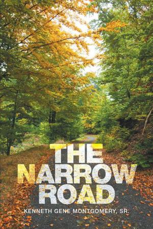 Cover of the book The Narrow Road by Ellen Hunter Ulken