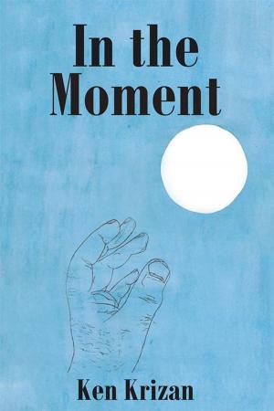 Cover of the book In the Moment by Dr. William Cavitt, Dr. Thomas Gwise