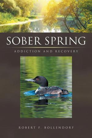 Cover of the book Sober Spring by Anthony Ordille
