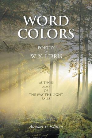 Cover of the book Word Colors by Glen Brereton Jr.