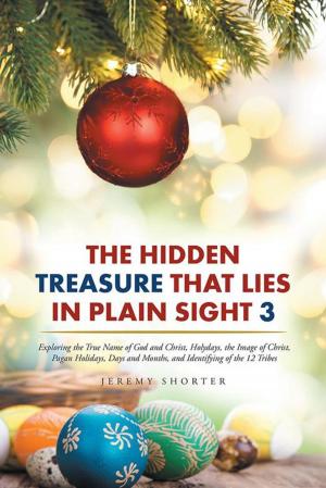 bigCover of the book The Hidden Treasure That Lies in Plain Sight 3 by 