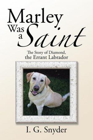 Cover of the book Marley Was a Saint by D.E. Gilmore