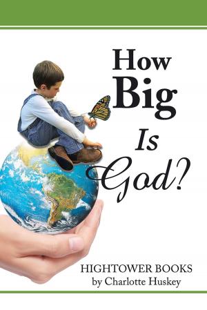Cover of the book How Big Is God? by Authoress Terry E. Lyle