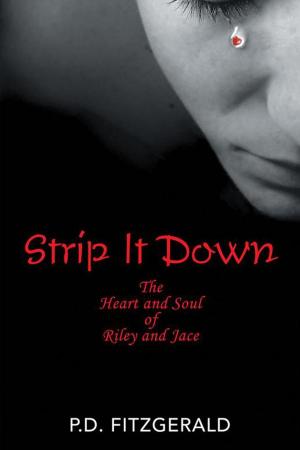 Cover of the book Strip It Down by Jim Stone